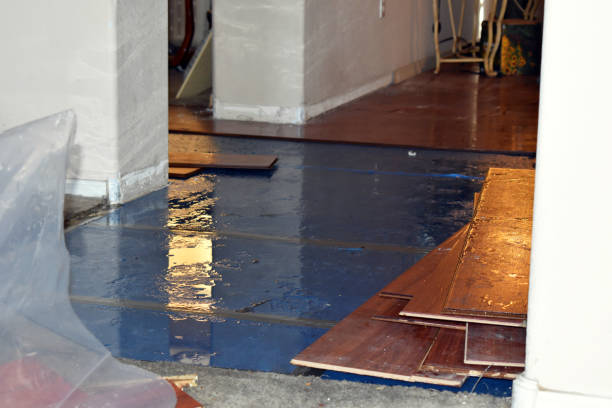Professional Basement Water Removal technician working in Oakley, KS