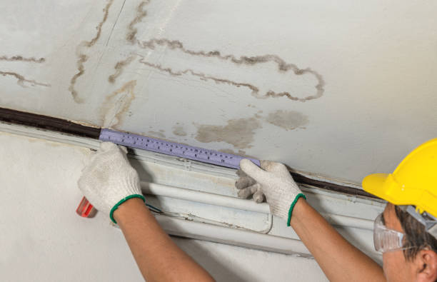 Reliable Basement Water Removal contractor in Oakley, KS by Water Damage Irwin